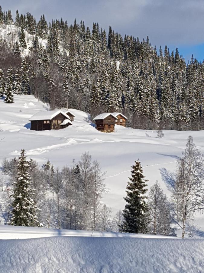 Kvambekk Gard I Amotsdal Villa Exterior foto