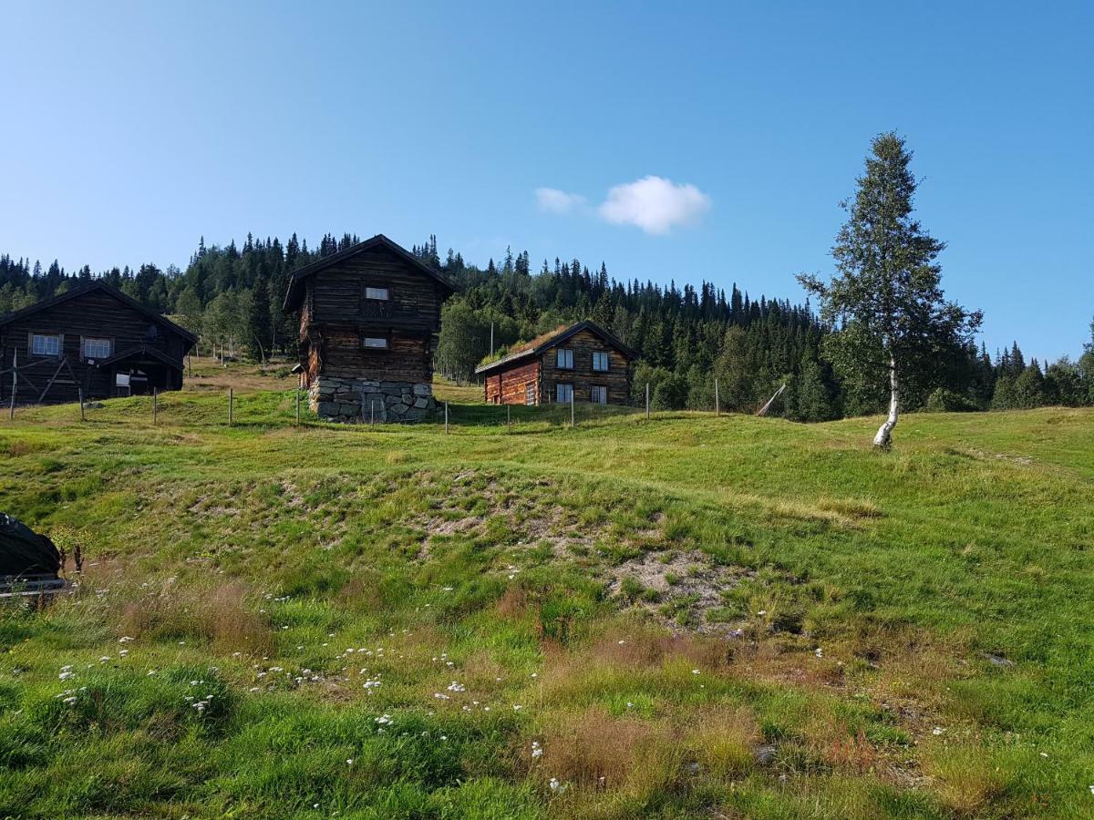 Kvambekk Gard I Amotsdal Villa Exterior foto